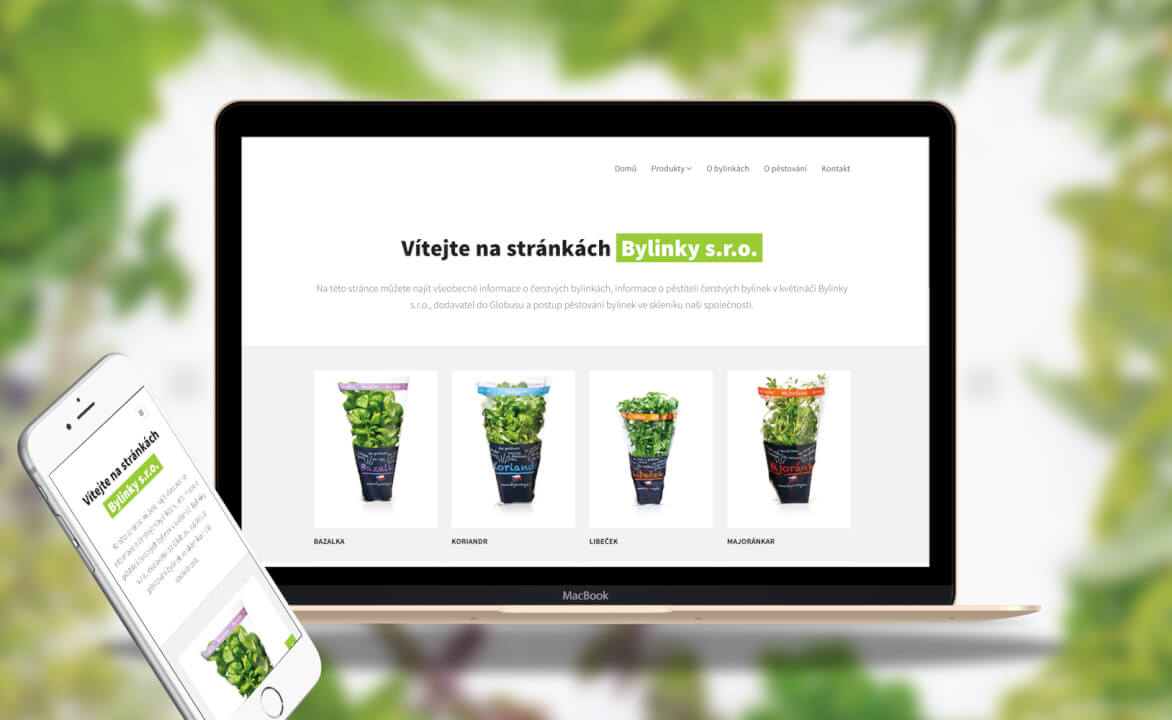 Profesionální design firemního či osobního webu