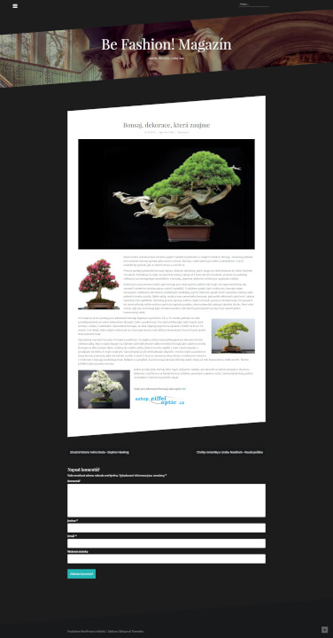 Zveřejním Váš PR článek v 5 e-magazínech