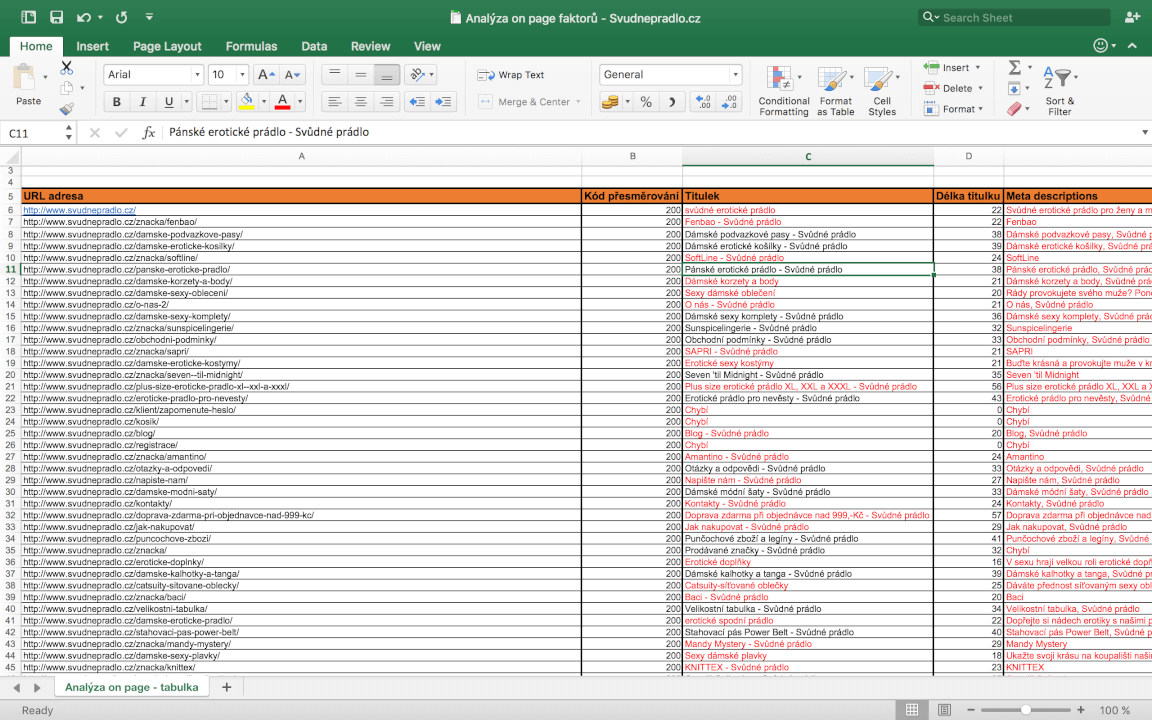 Analýza on page faktorů 