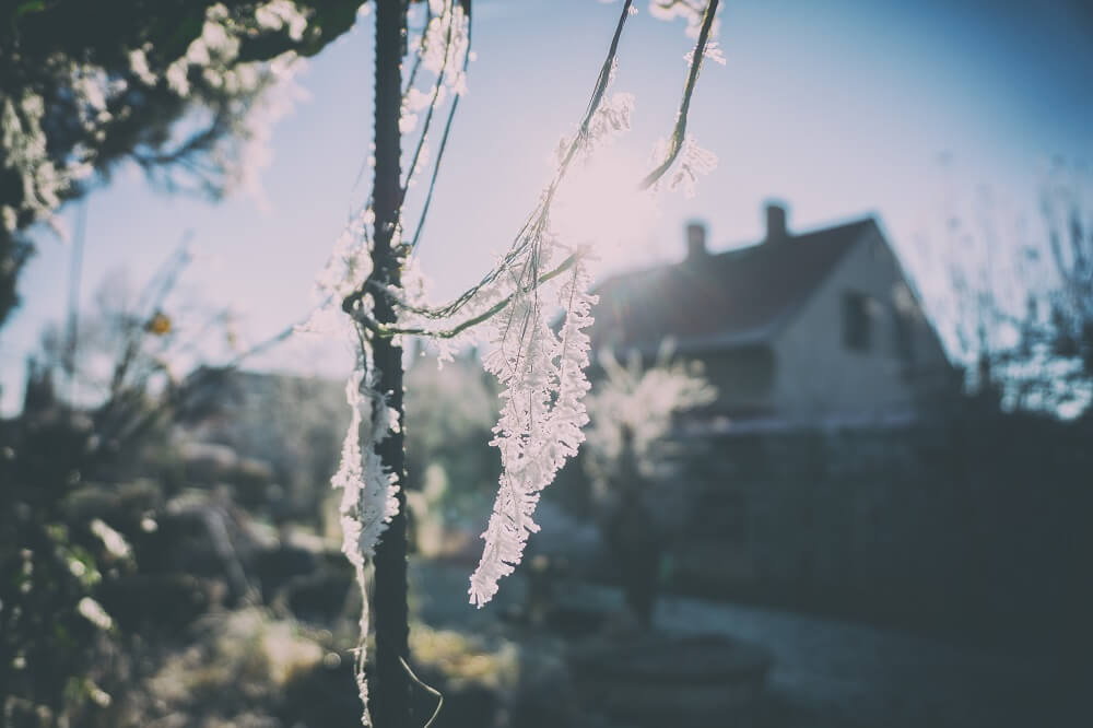 Profesionální úprava fotografií