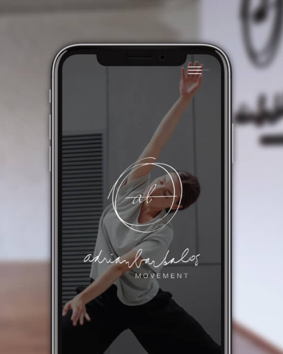 Spravím komplexnú stránku ( custom web )