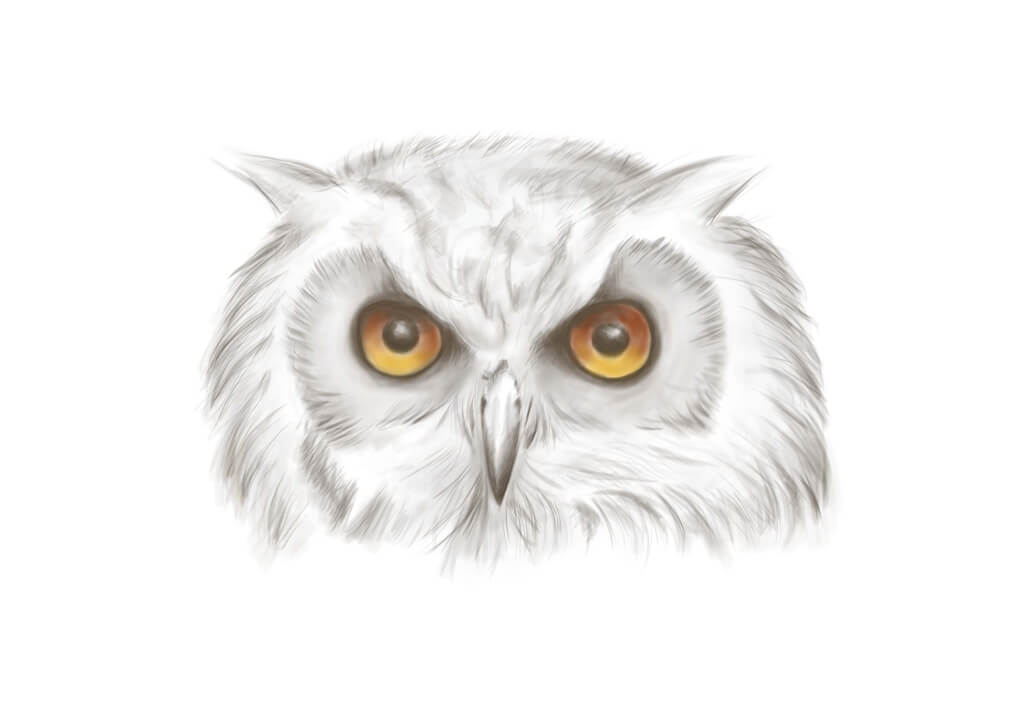 Digitální kresba, ilustrace, …