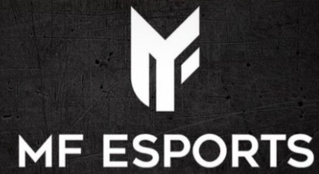 Originální logo pro firmu, brand i gaming