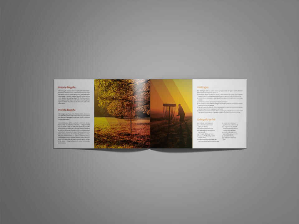 Plakát, leták, tiskoviny všeho druhu ...