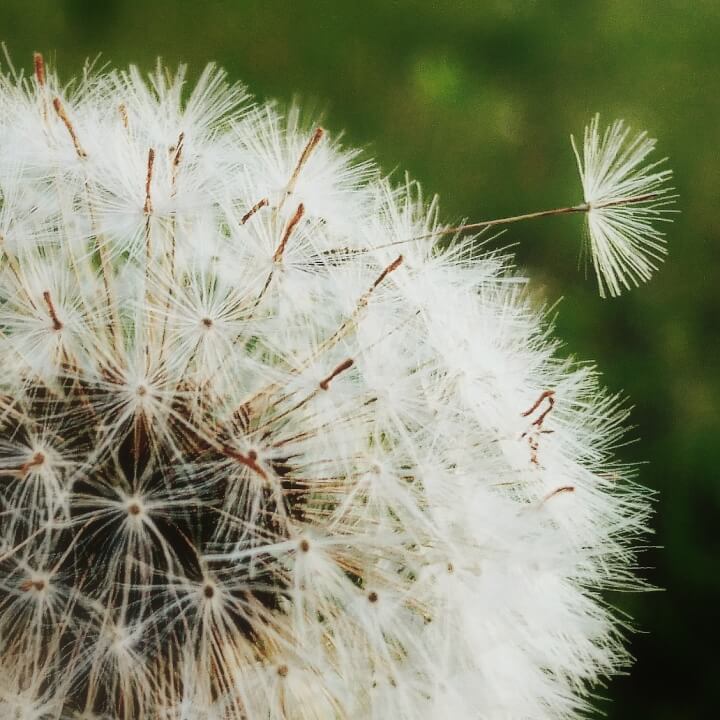 Fotografické služby 