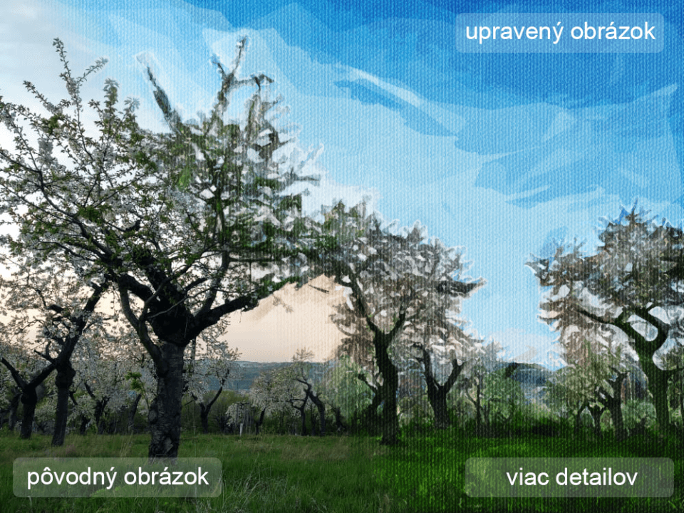 Upravím fotku/obrázok na digitálnu maľbu