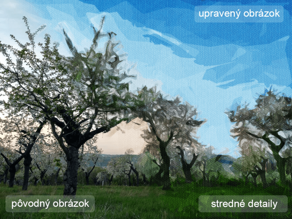 Upravím fotku/obrázok na digitálnu maľbu