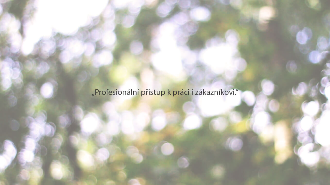 Vytvořím profesionální logo