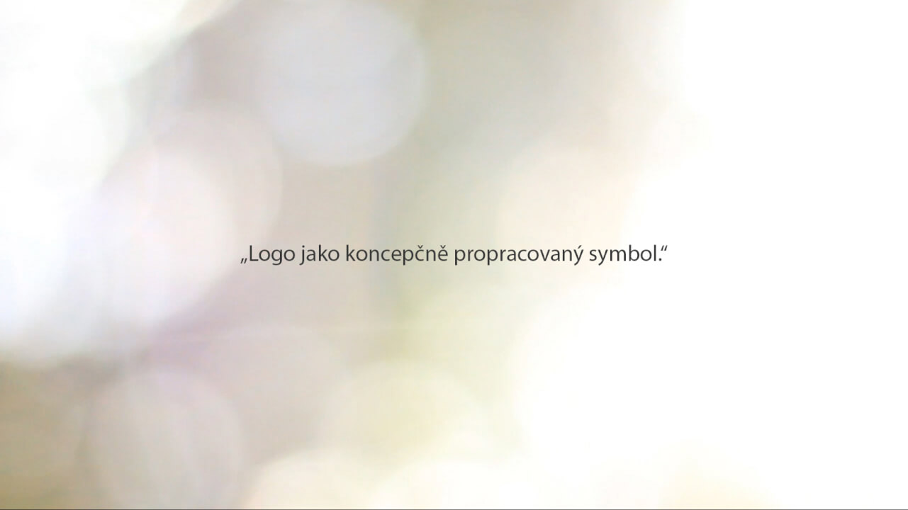 Vytvořím profesionální logo