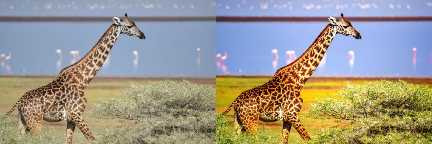 Krásna úprava vašich fotografií