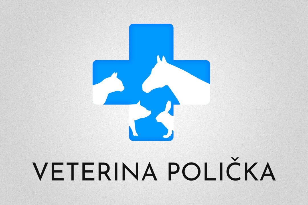 Tvorba profesionálního logotypu