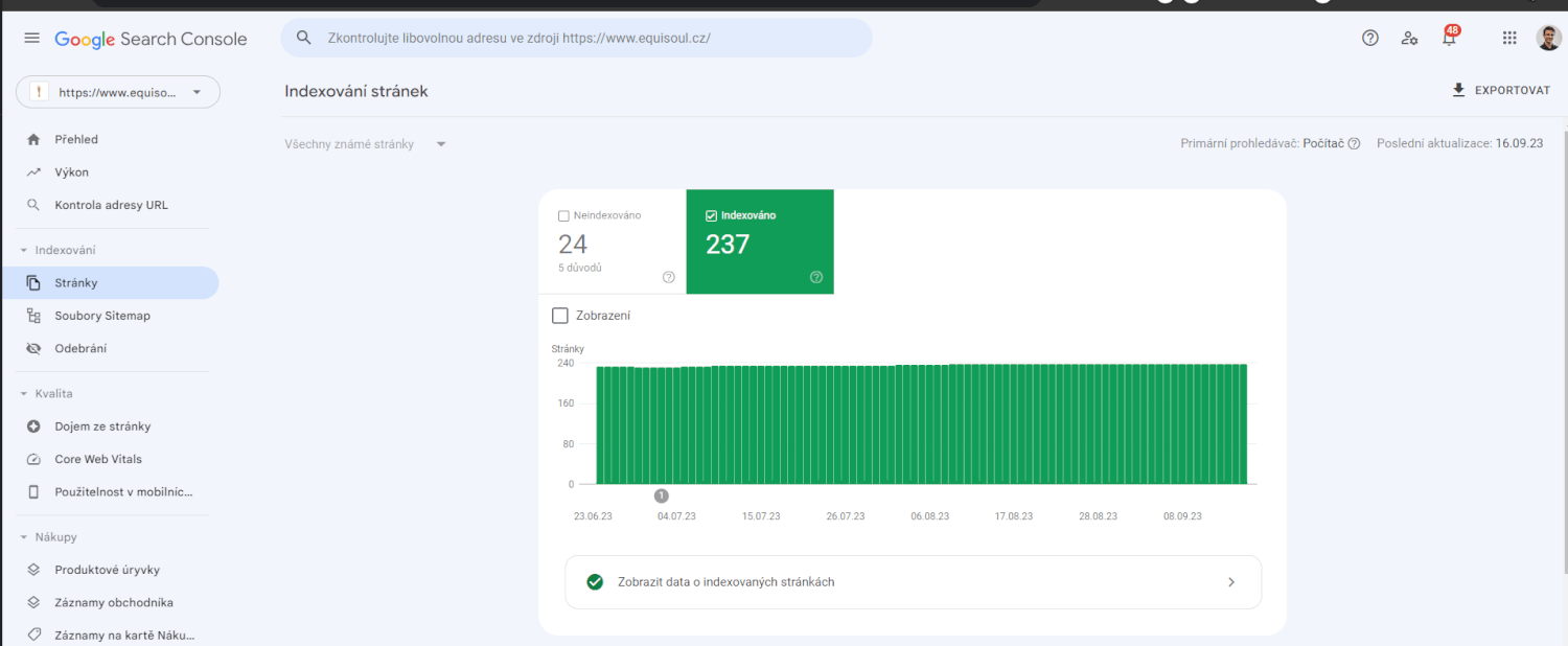 Zobrazení Vašeho webu na Google - Indexace webu na Googlu