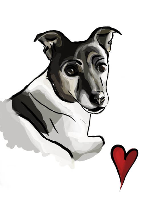 Digitální kresba (vhodné pro tisk na textil)