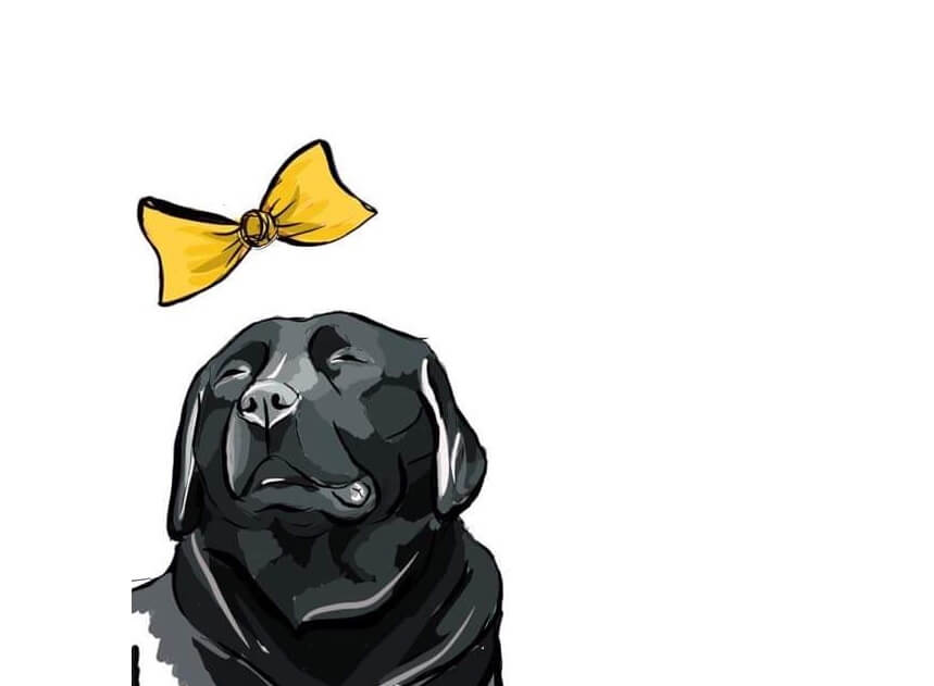 Digitální kresba (vhodné pro tisk na textil)