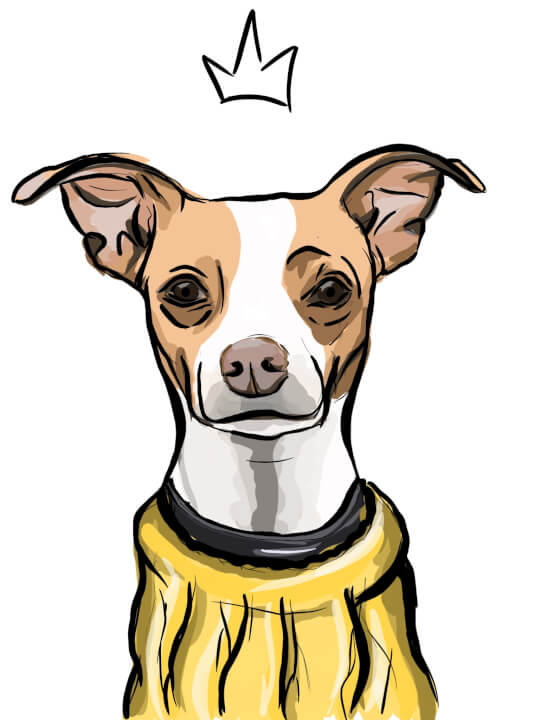 Digitální kresba (vhodné pro tisk na textil)