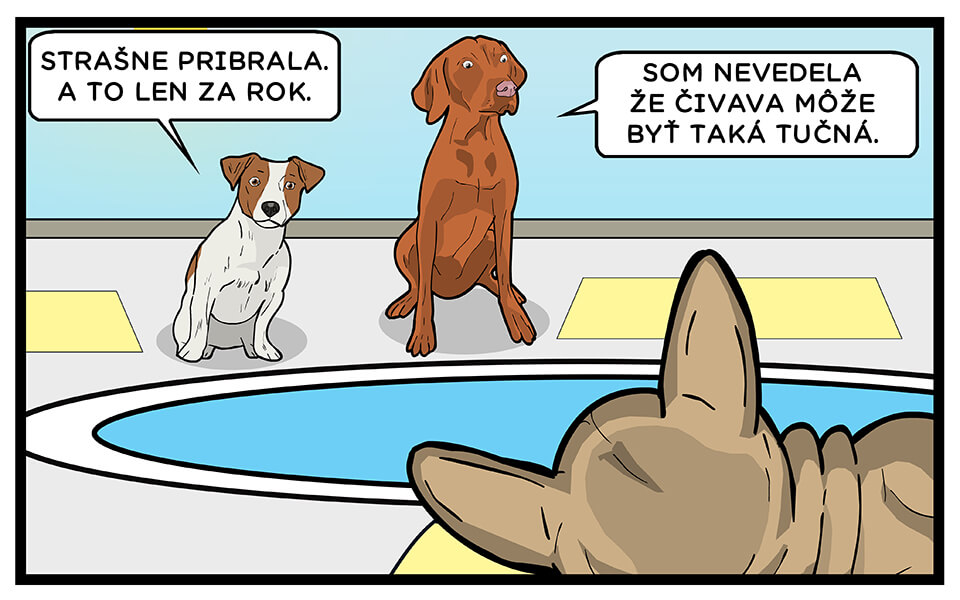 Realistický komiks - Premium