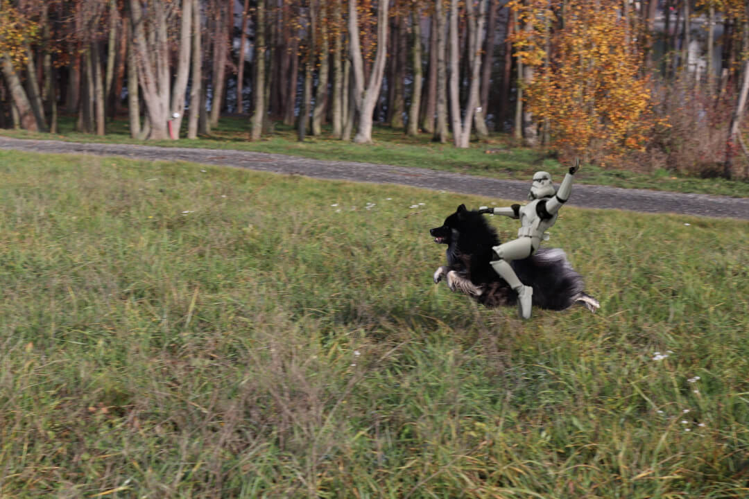 Úprava fotografií, fotomonáže