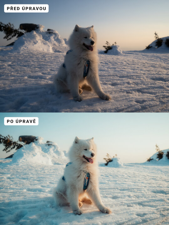 Profesionální úprava fotografie