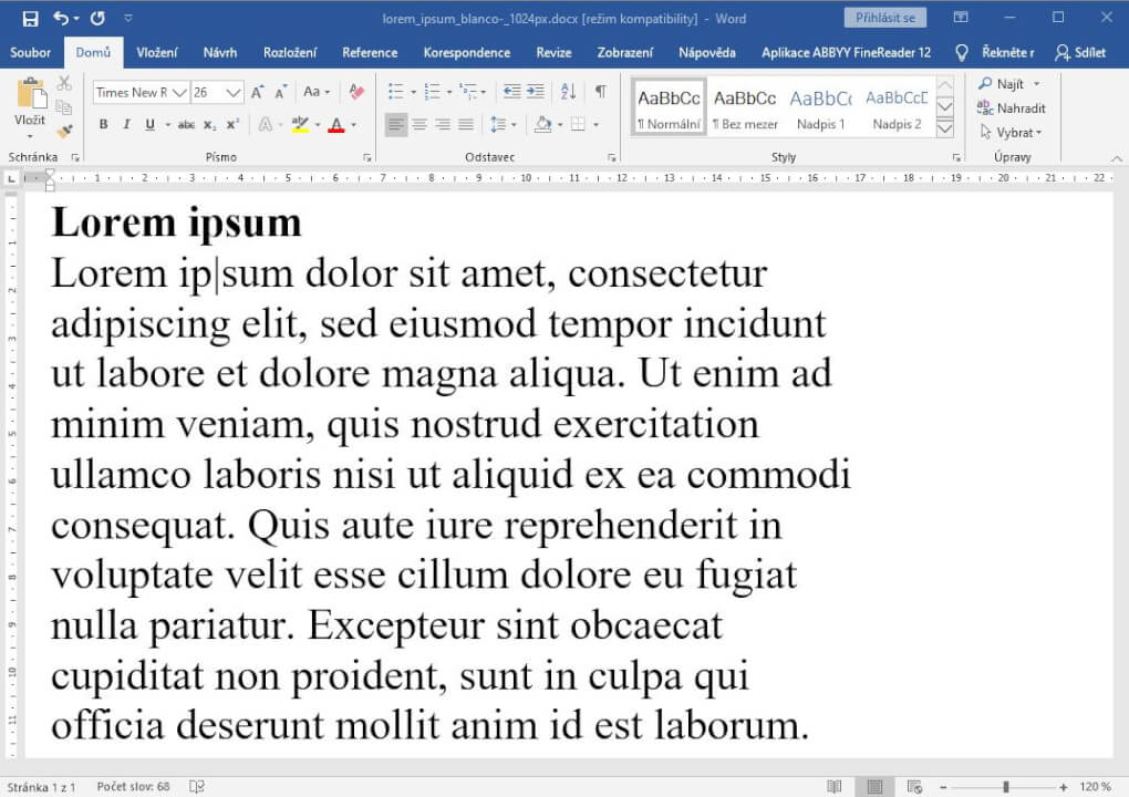 Přepis textu z needitovatelného formátu(např. jpeg,bmp,pdf) 