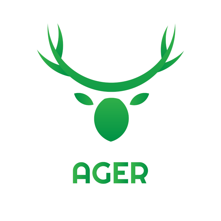 Logo design + mini logo manual