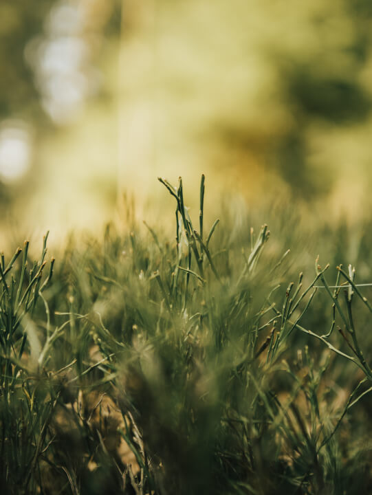 Barevná úprava a korekce fotek