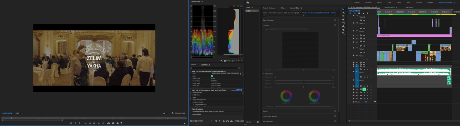 Odborná postprodukce videa