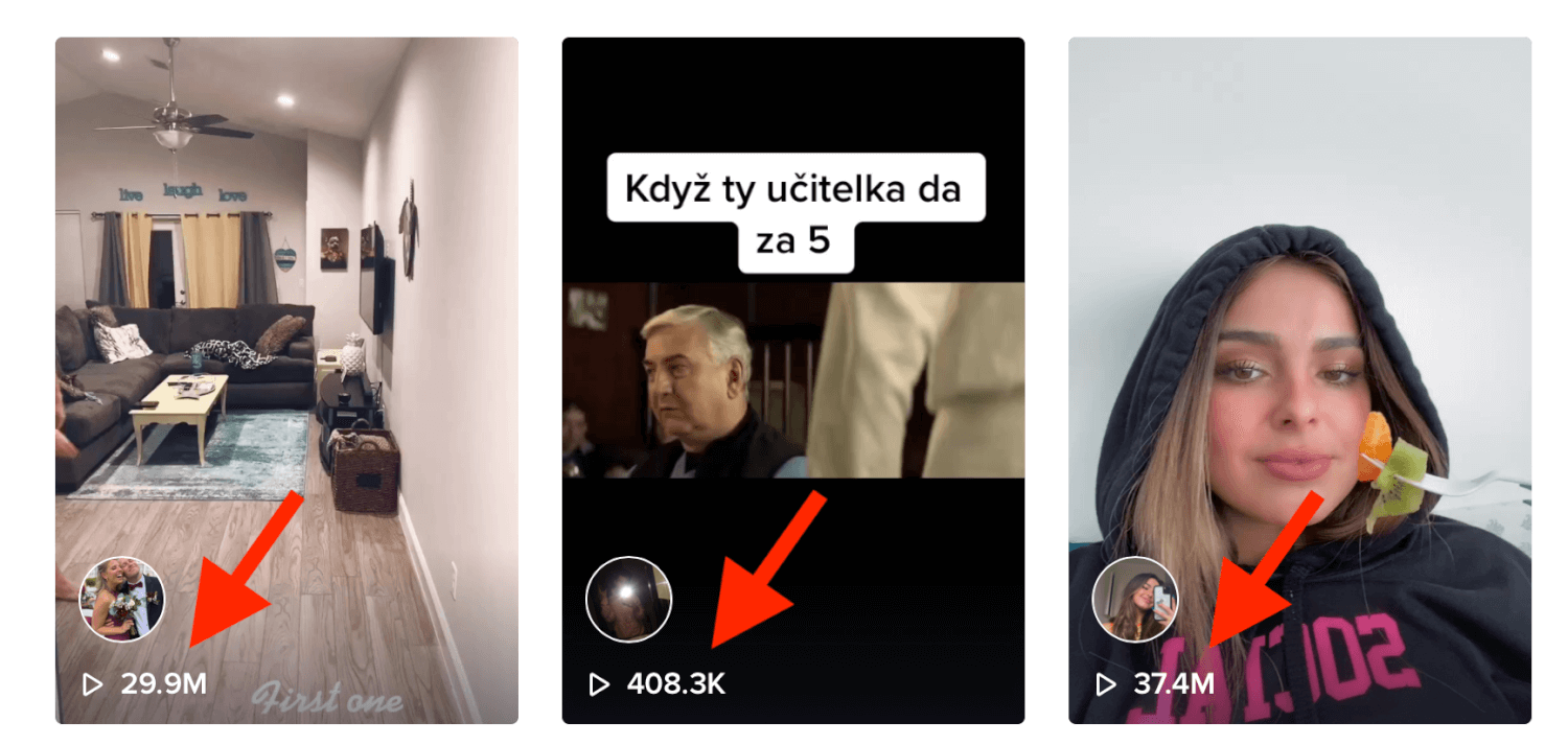 NEJLEVNĚJŠÍ TikTok Views 100 000+