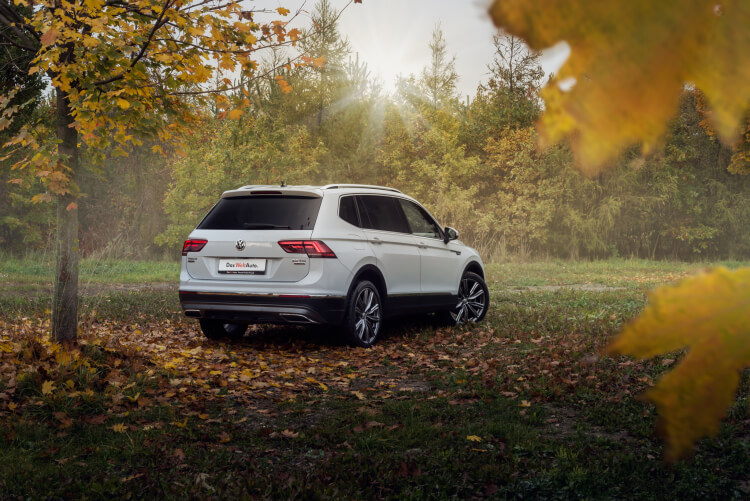 Profesionální úprava fotografií