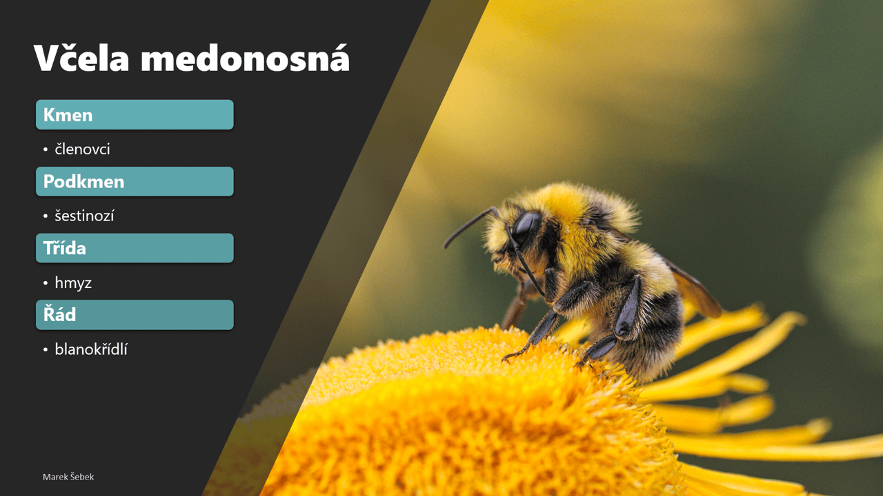 PowerPoint prezentace rychle a profesionálně