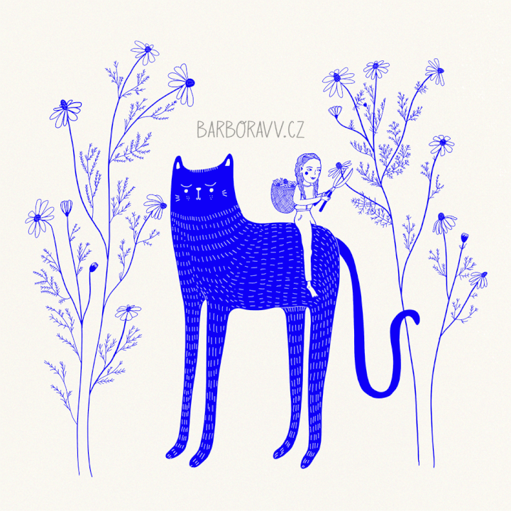 Digitální ilustrace / kresba na míru