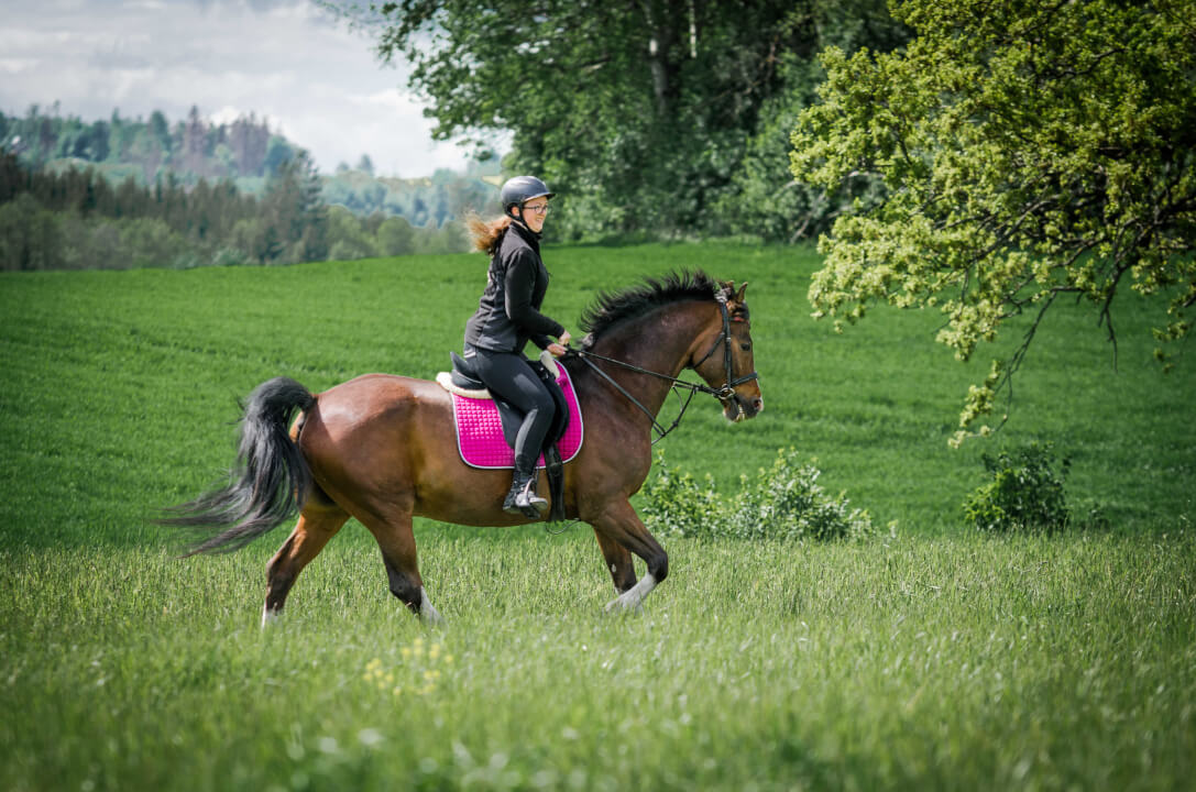 Focení zvířat/osob/produktů v exteriéru