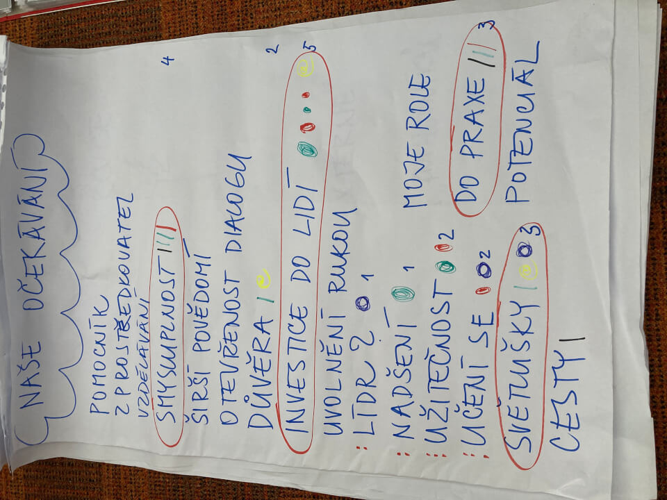 SWOT analýza na míru přímo pro vaše potřeby