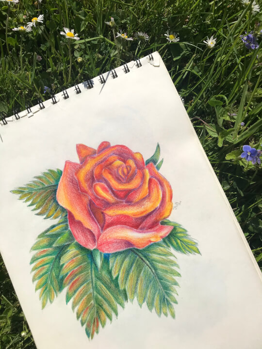 Návrhy tetování, loga, kresba na přání