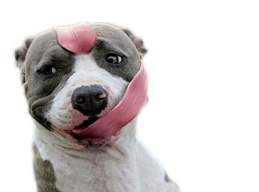 Odstranění pozadí (background remove)