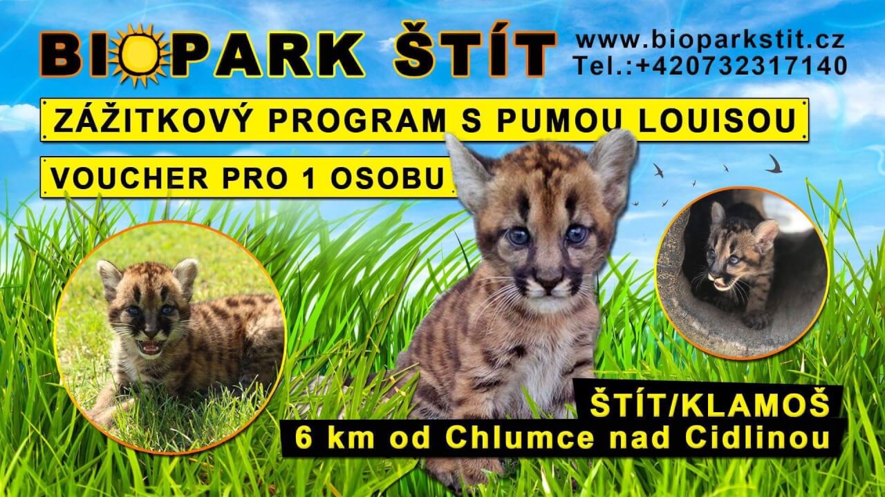 Plakát, banner, diplom, retuš