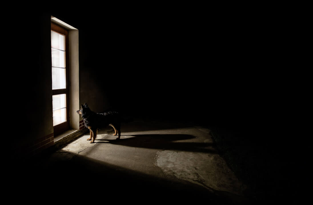 Fotomontáže, post-processing & retuš fotografií.