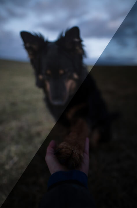 Fotomontáže, post-processing & retuš fotografií.