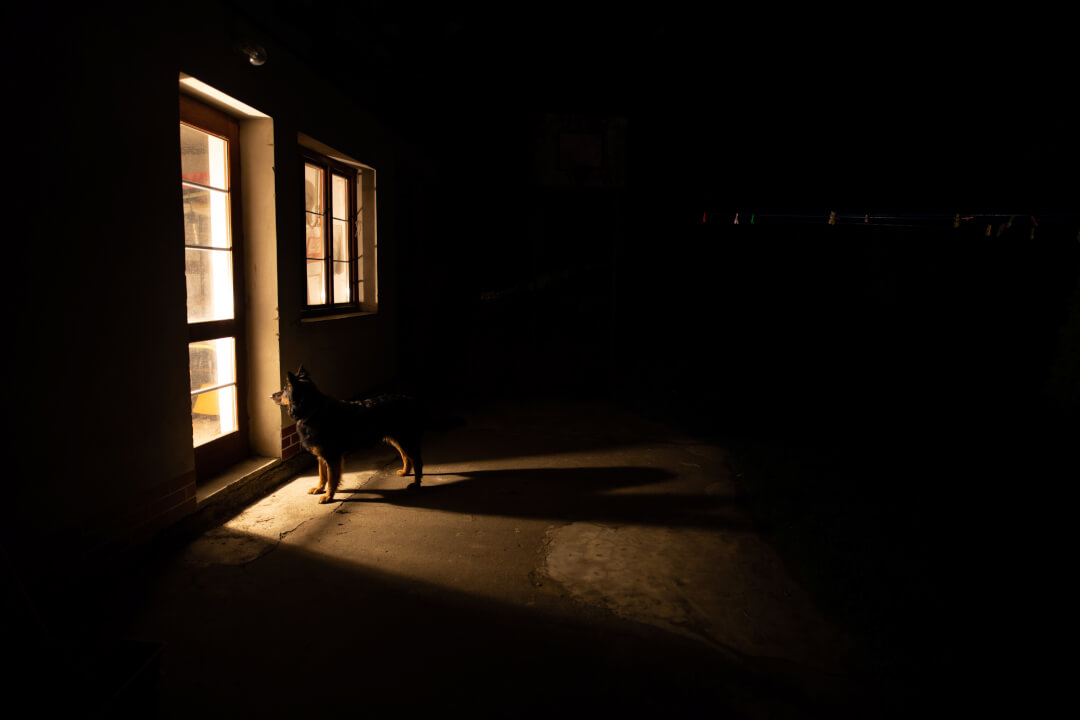 Fotomontáže, post-processing & retuš fotografií.