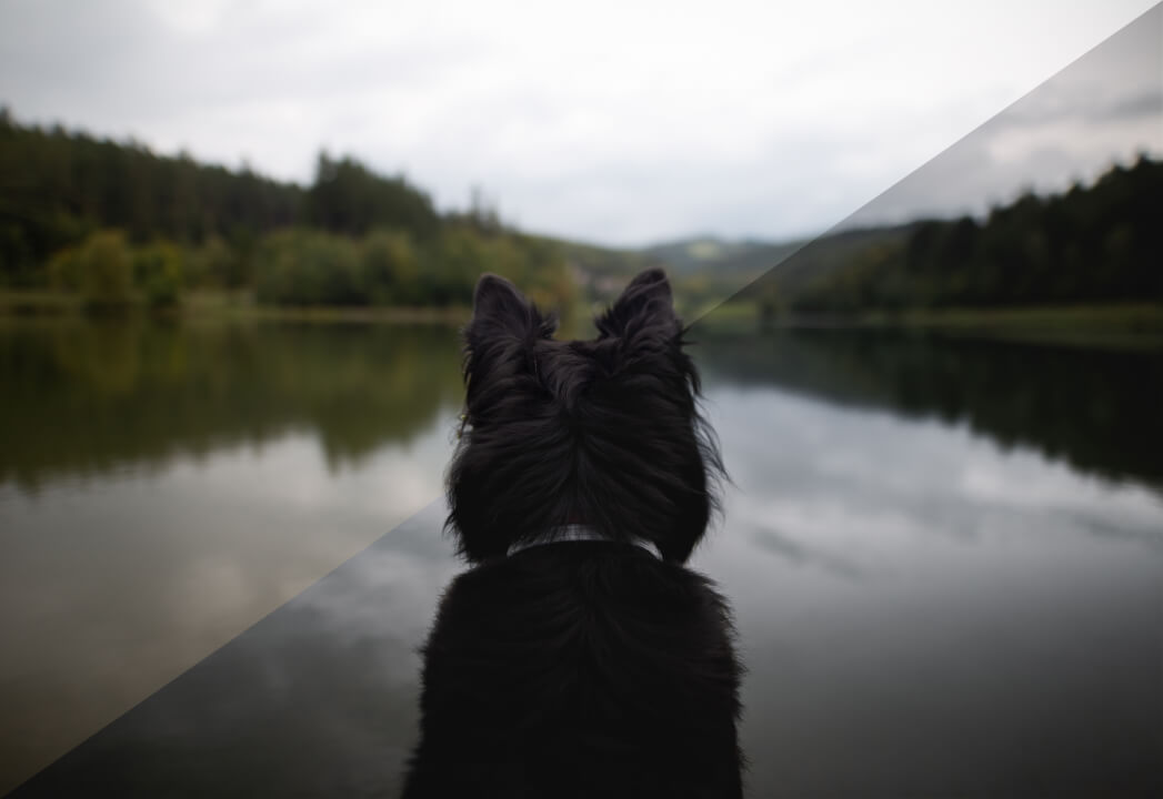 Fotomontáže, post-processing & retuš fotografií.