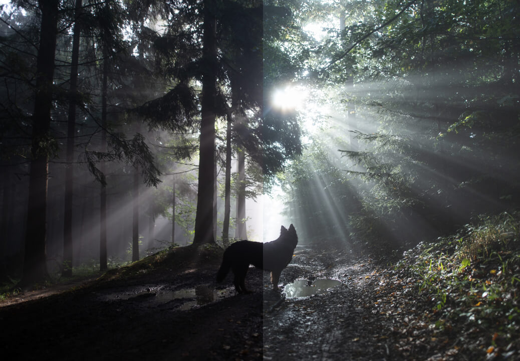 Fotomontáže, post-processing & retuš fotografií.