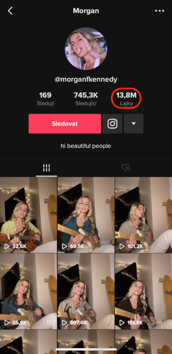 NEJLEVNĚJŠÍ TikTok Likes 2400+