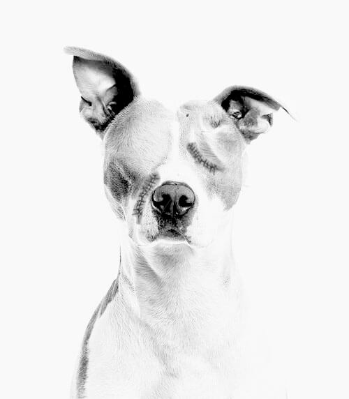 Fotomontáže, úprava fotek, retuš a mnoho dalšího