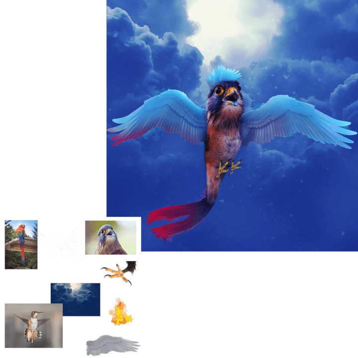 Fotomontáže, úprava fotek, retuš a mnoho dalšího