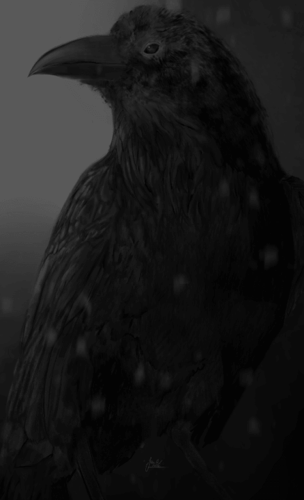 Kresba, malba ilustrace