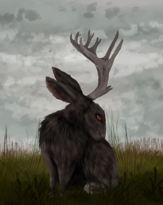 Kresba, malba ilustrace