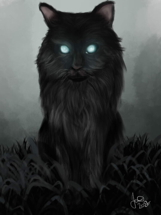 Kresba, malba ilustrace