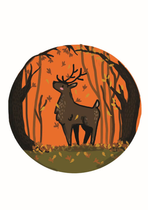 Dětské a jiné ilustrace!