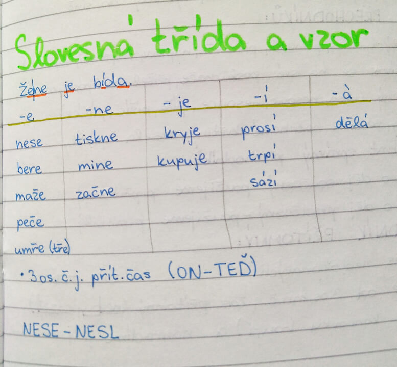 Doučování českého jazyka pro základní školy