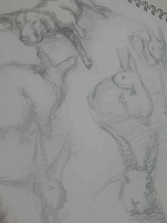 Vytvořím kouzelné ilustrace podle vašich představ