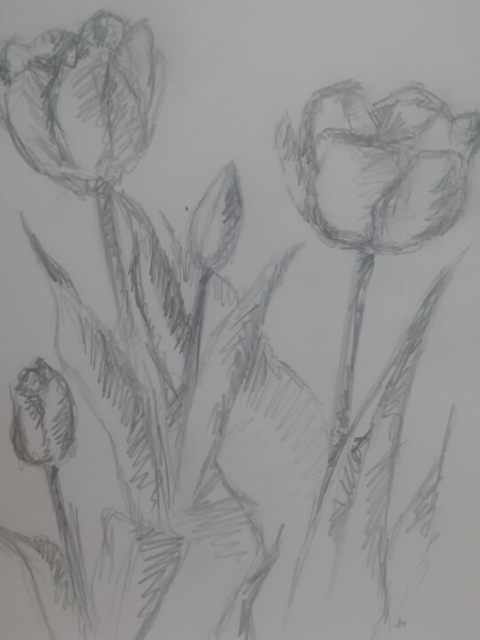 Vytvořím kouzelné ilustrace podle vašich představ